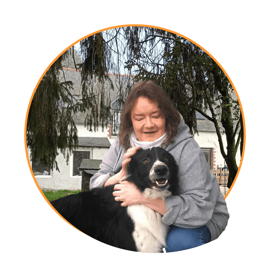 Lesptyloups Les P Ty Loups Pension Canine En Loire Atlantique Lesptyloups Les P Ty Loups Pension Canine En Loire Atlantique